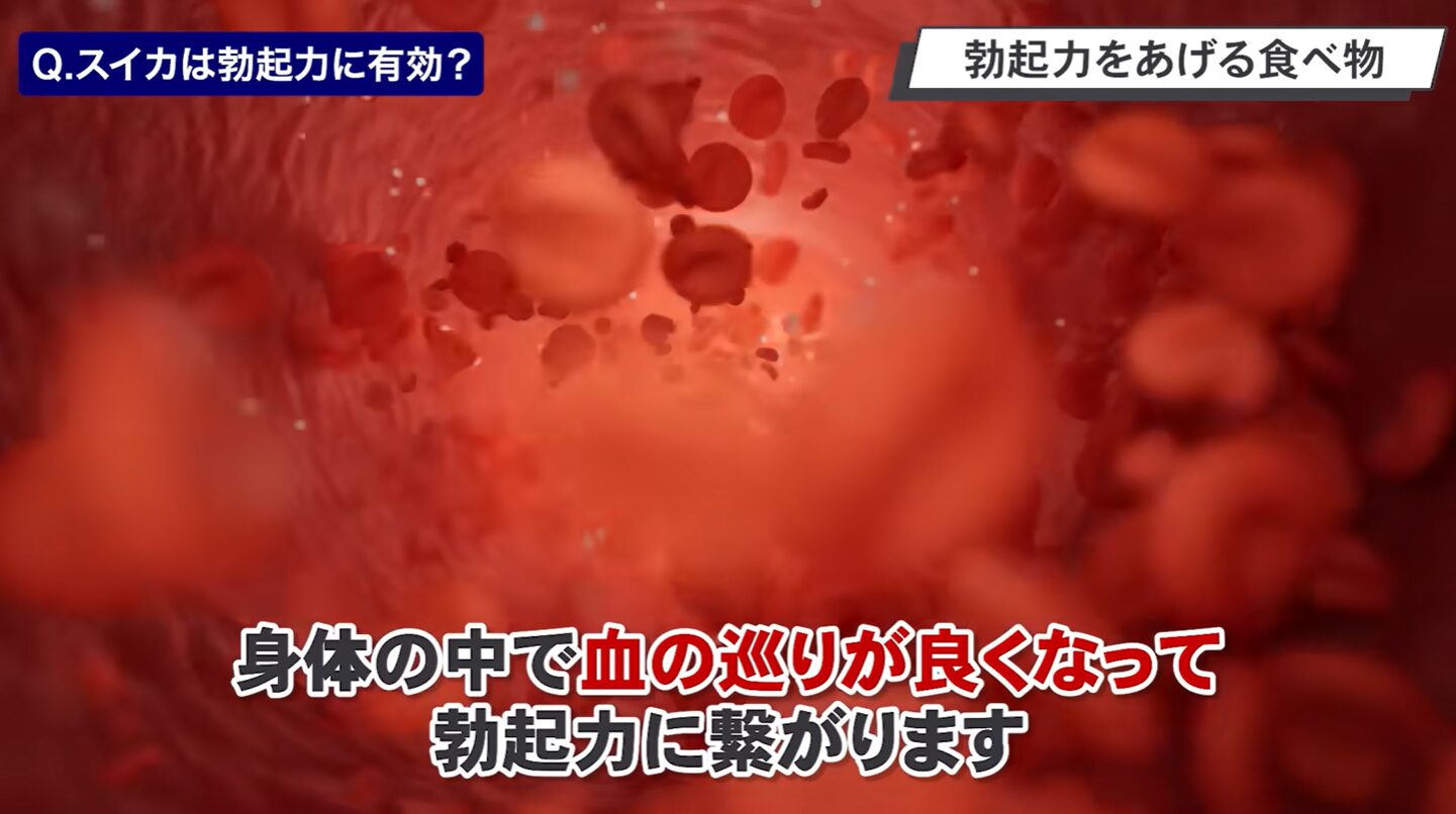 スイカが血の巡りをよくすることで勃起力を上げる効果の説明イラスト